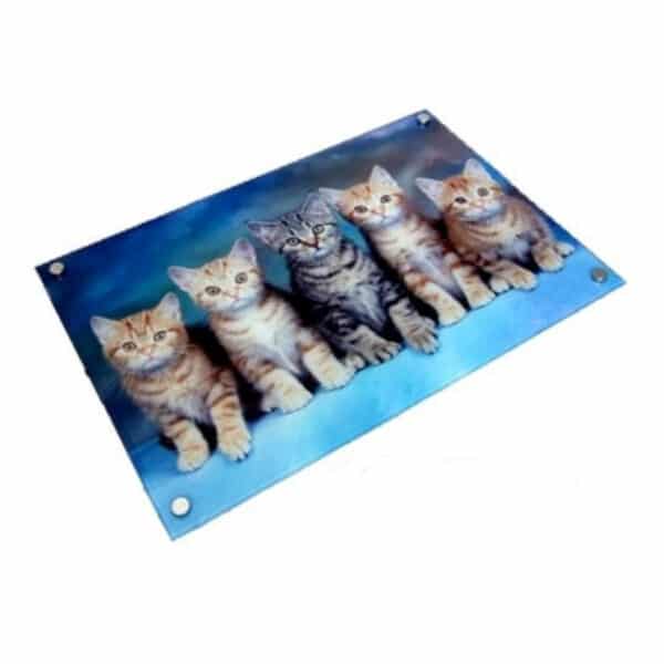 הדפסת לוגו על זכוכית