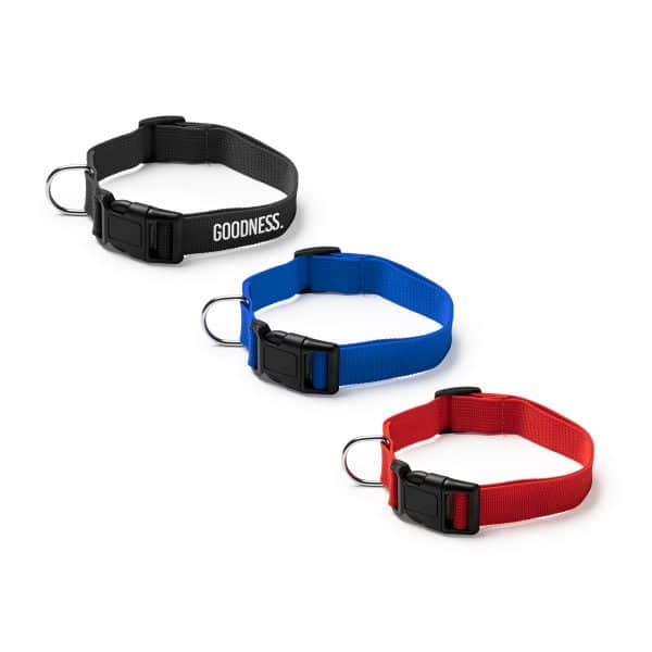 קולר ממותג לחיות מחמד