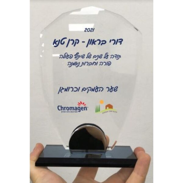 מגן זכוכית מגן זכוכית