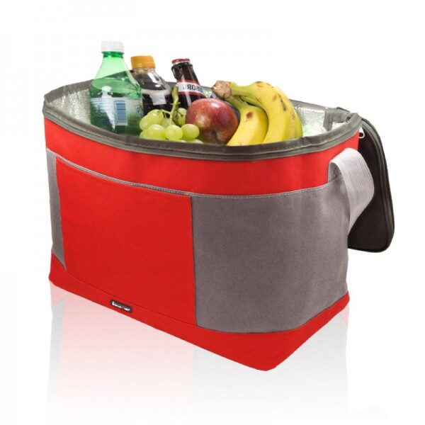 צידנית משפחתית | צידניות עם לוגו