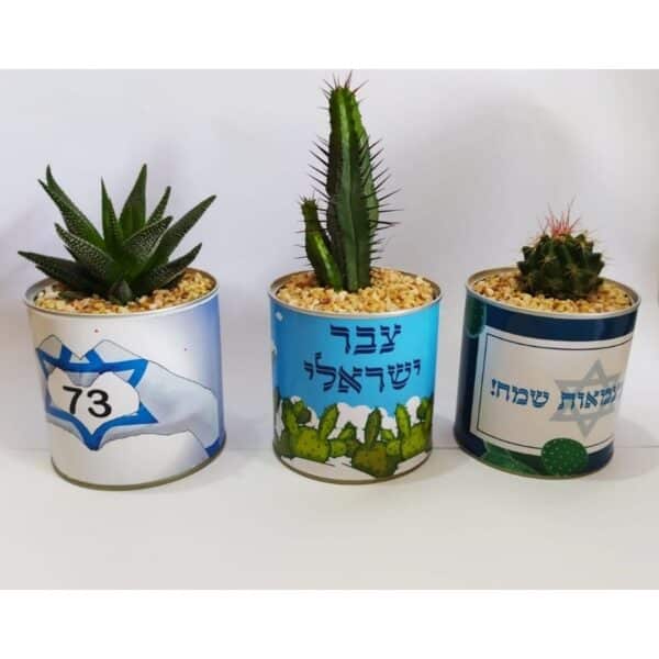 עציצים ממותגים בפחית