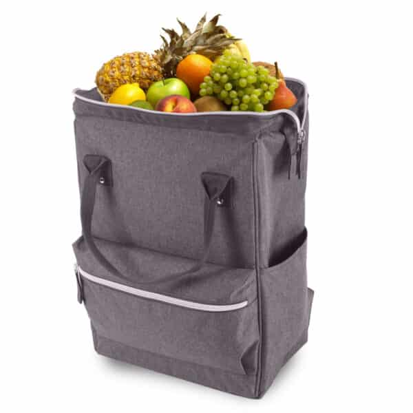 תיק גב עם צידנית 18 ליטר