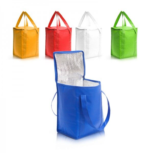 צידנית משפחתית עם מיתוג צידנית משפחתית עם מיתוג