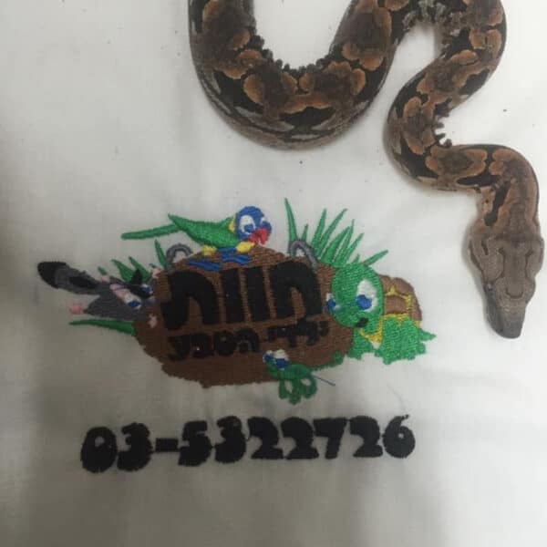 שק נחשים ממותג | שקי נשיאה לזוחלים