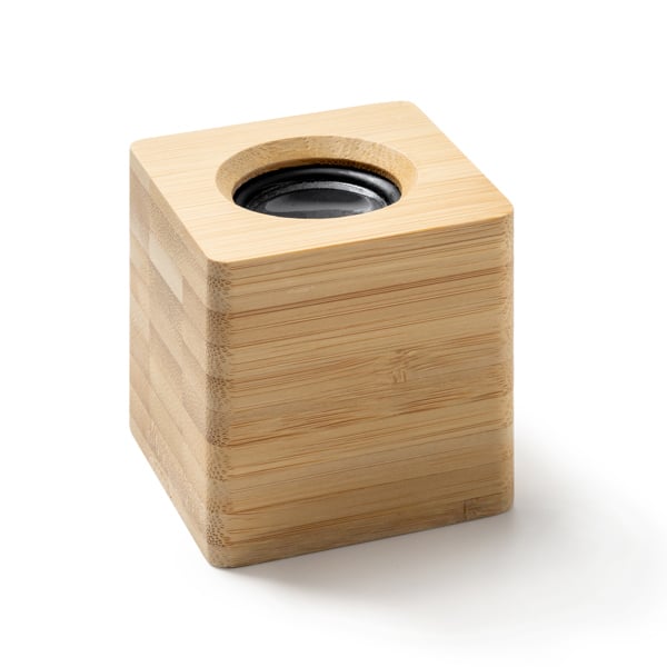 רמקול גוף עץ