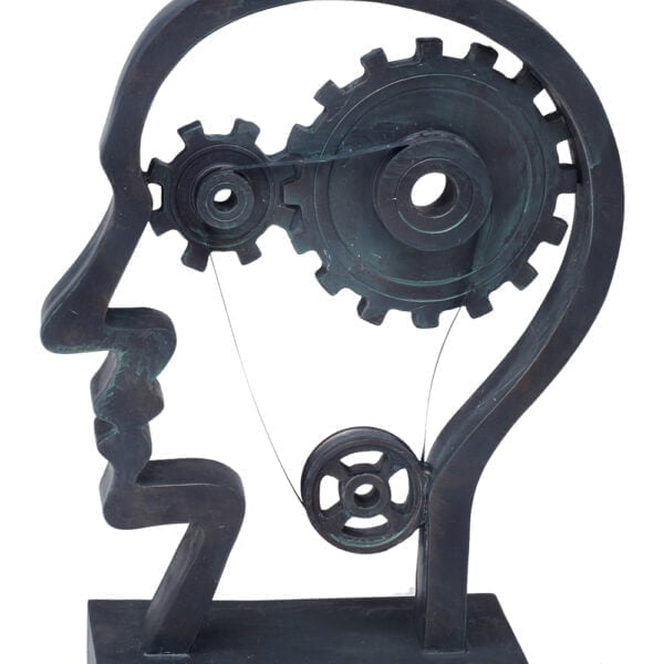 גלגלי המוח- ראש האדם