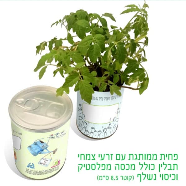 ערכת גידול תבלינים ממותגת