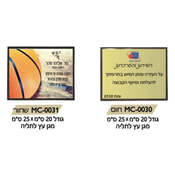 מגן הוקרה עץ