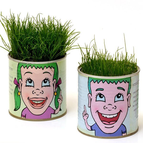 ראש דשא בפחית ממותגת