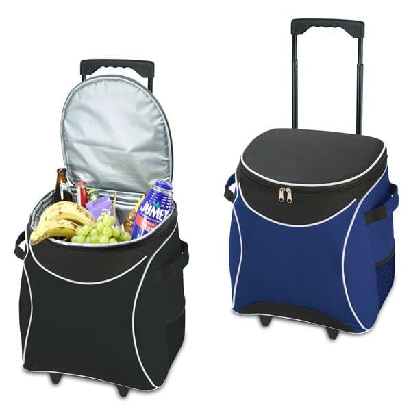 צידנית משפחתית מעוצבת צידנית משפחתית מעוצבת