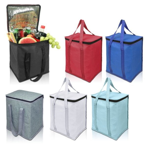 צידנית רכה מבודדת