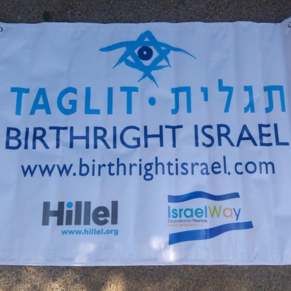 שמשונית במגוון גדלים