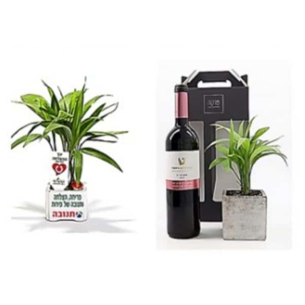 מארז עץ לט"ו בשבט