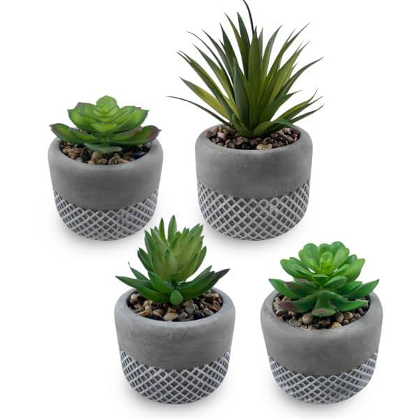 עציצים ממותגים