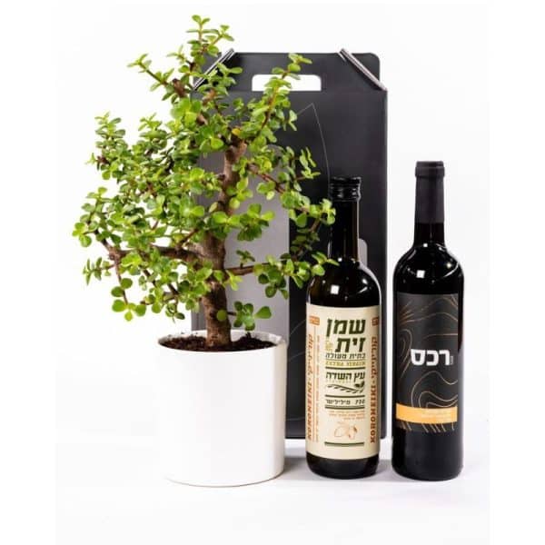 מארז יין שמן זית ועציץ