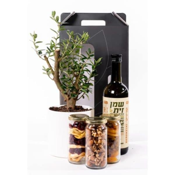 מארז עציץ ופירות יבשים מארז עציץ ופירות יבשים