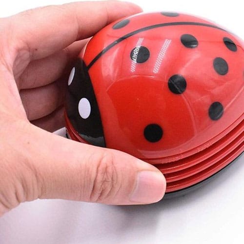 שואב אבק חיפושית